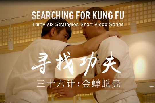 36 Strategies: Escape Like a Cicada Casting Off Its Skin