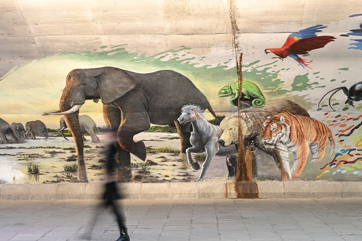 Graffiti lights up city life in Jiangsu