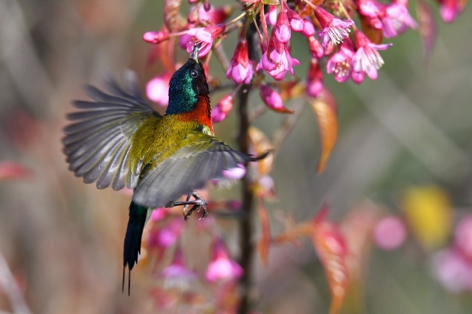 Winter Solstice exudes different charms in Guizhou