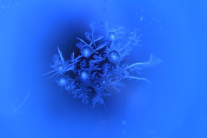 Icicle flowers bloom in Heilongjiang