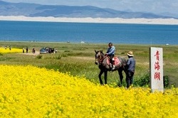 Qinghai Lake, Qinghai province