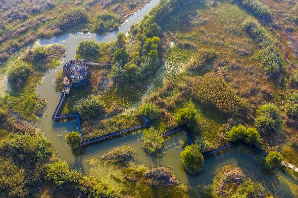 Sihong Hongze Lake Wetland Scenic Area, Jiangsu province