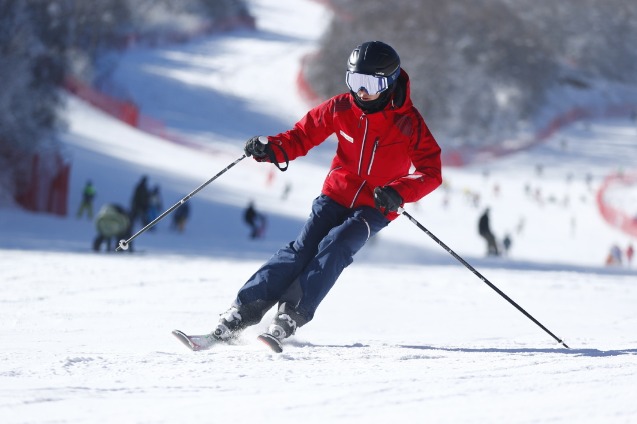 Local tourism surges as travelers decide to stay put