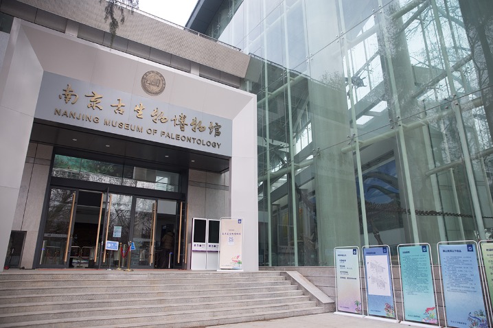 Nanjing Museum of Paleontology