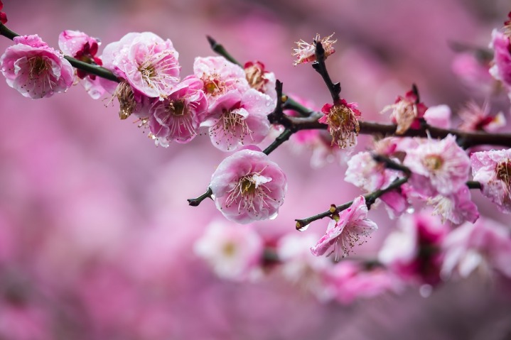 Solar term marks start of new season