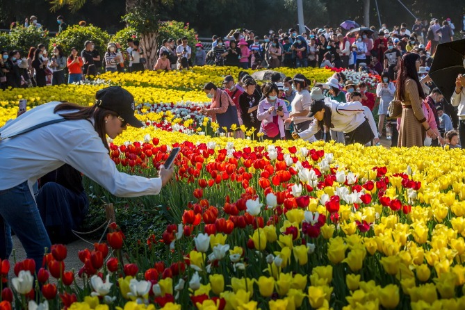 China's domestic tourism shrinks in 2020 amid COVID-19 headwinds