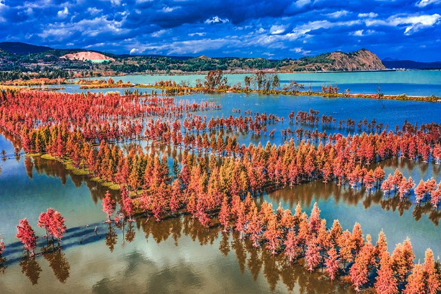 Nandianchi Wetland Park, Yunnan province