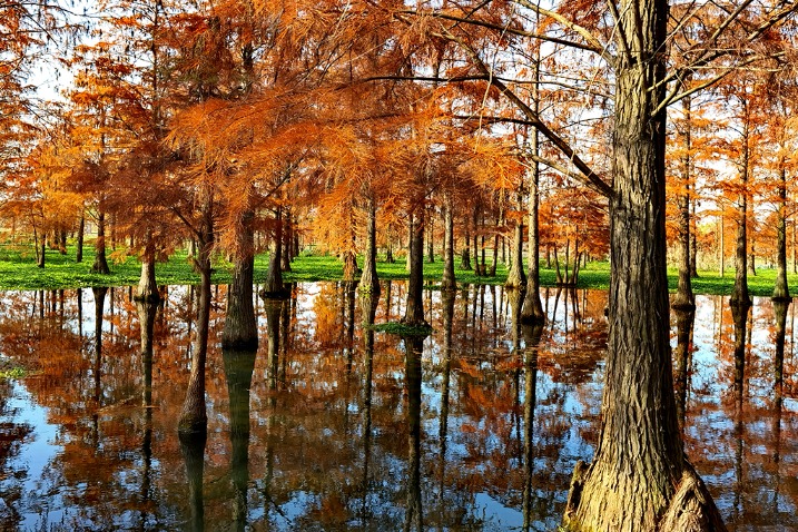 Qingxi Suburban Park, Shanghai