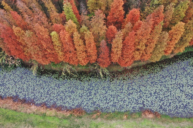 Aixi Lake Wetland Park, Jiangxi province