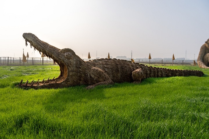 Straw version of Zootopia ‘debut’ in cornfield in Jiangsu
