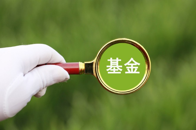 Public equity funds all the rage among youth