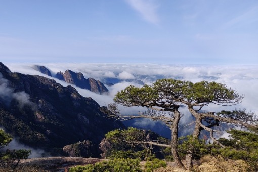 Cloud sea blankets famed mountain in Anhui