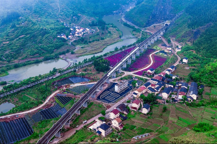 Poverty alleviation in green efforts