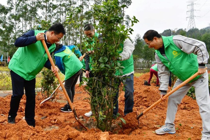 Report: China plants 6.77m hectares of forests in 2020