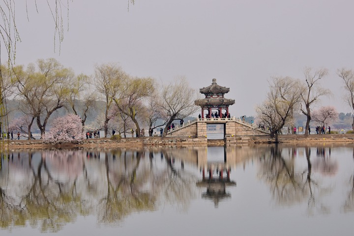 Peach blossoms bloom at the Summer Palace