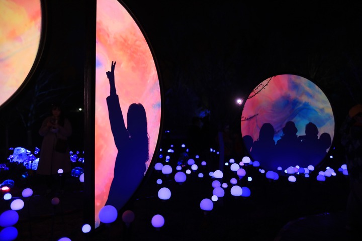 2021 Beijing International Light and Shadow Art Season kicks off