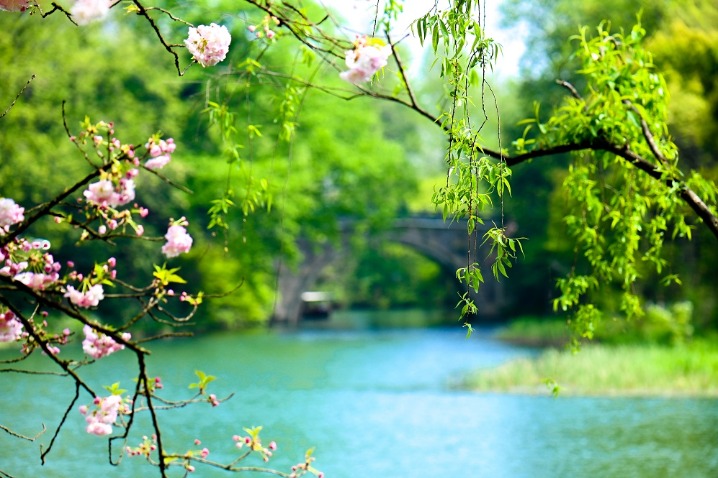 Charming spring scenery along West Lake causeway