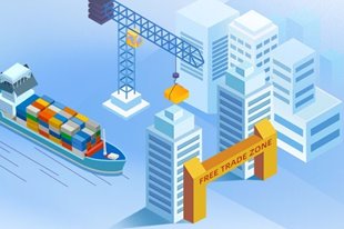 China's new FTZs, one year later