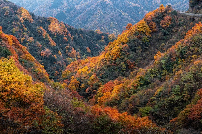 Guangwu Mountain Scenic Area, Sichuan province