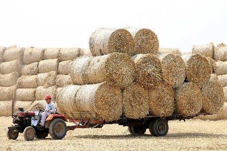 Biomass energy to provide heat, fuel