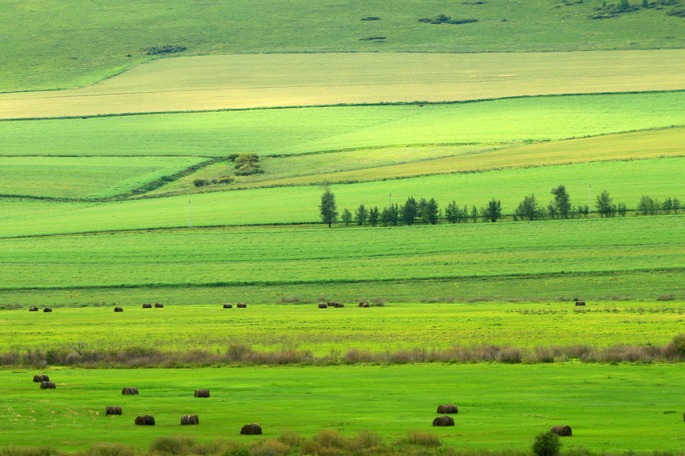 Protection of grassland a priority issue