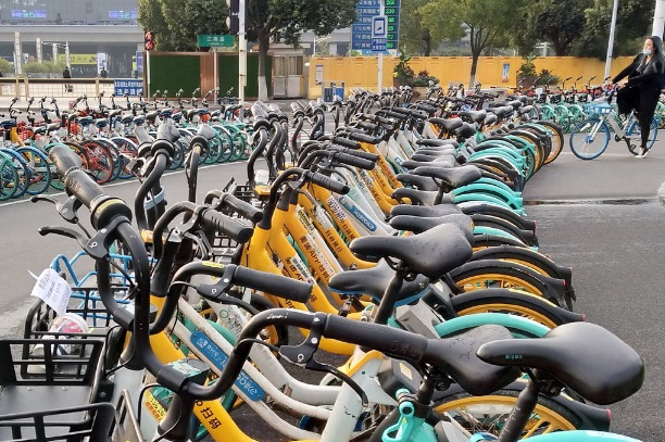 Sharing economy a rising star despite COVID woes