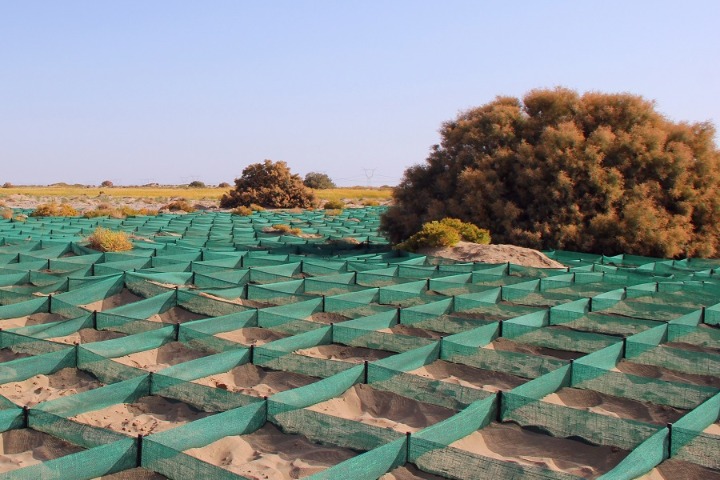 China seeks environmental cooperation with Mongolia