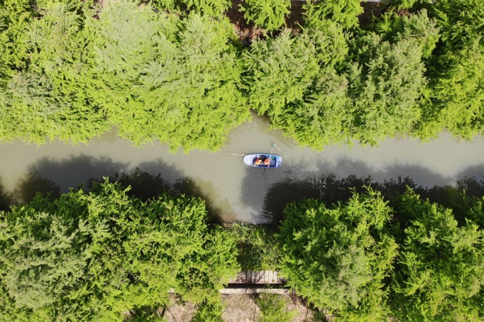 China vows to achieve green goals