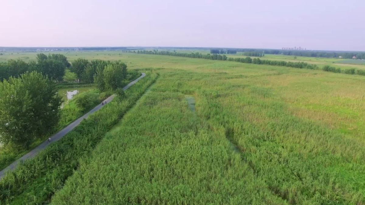 Bengbu: a picturesque city