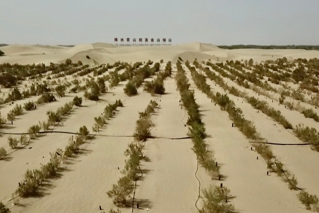 Turning Makit in Kashgar green with trees