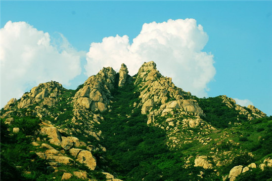 茶山风景区 (2).jpg