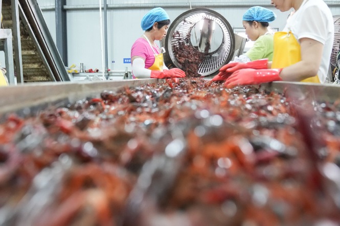 Crayfish a fortunate catch for Central China's Hubei province