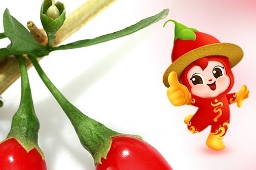 The 4th Ningxia Goji Berry Industry Expo