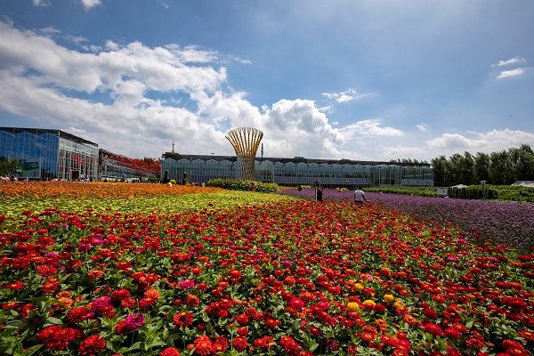 International agricultural expo to open in Jilin in August