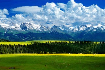 Xinjiang has 133 key cultural heritage sites under state protection