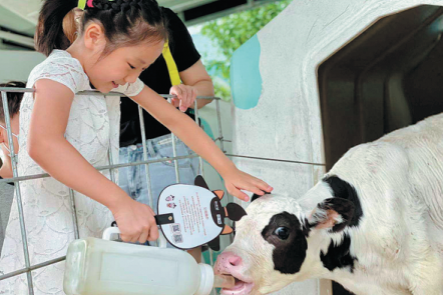 Family holidays on the rise over summer