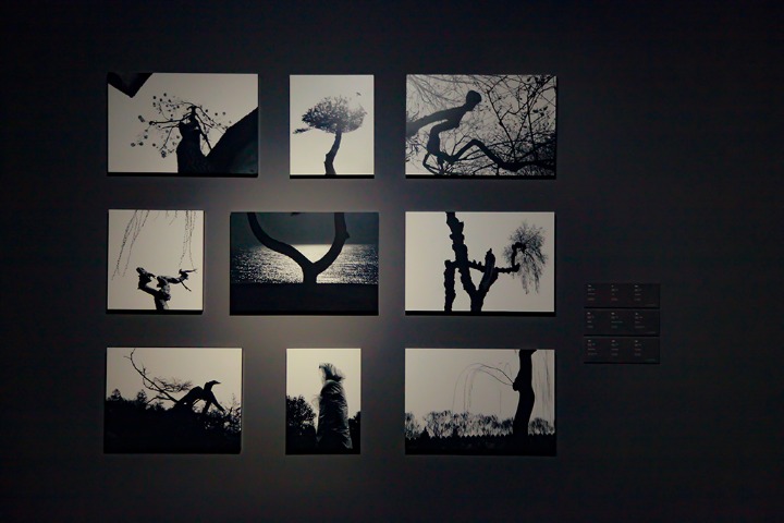 Photographs present colorful and passionate world of nature images