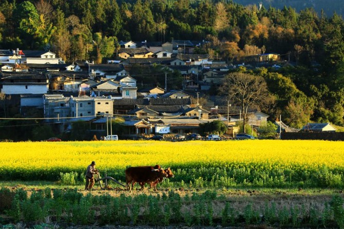 China becoming greener faster than any other country, says BBC
