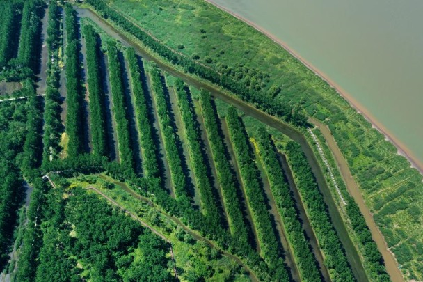 Forest authorities help country reach climate goals