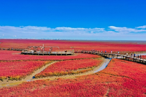 Red beach welcomes best scenery of the year