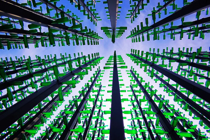 ‘Beer bottle forest’in E China