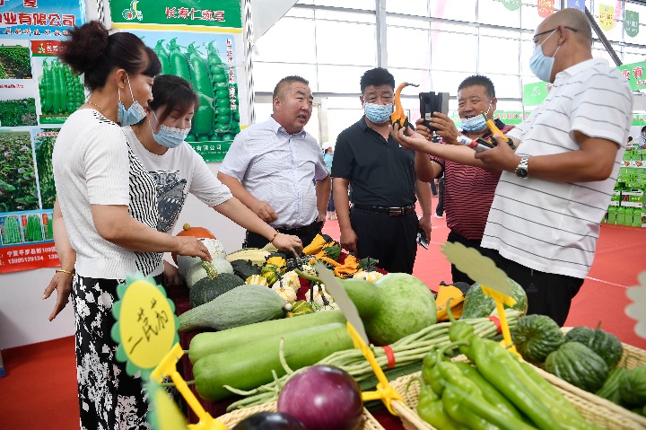 Courts protecting seed industry