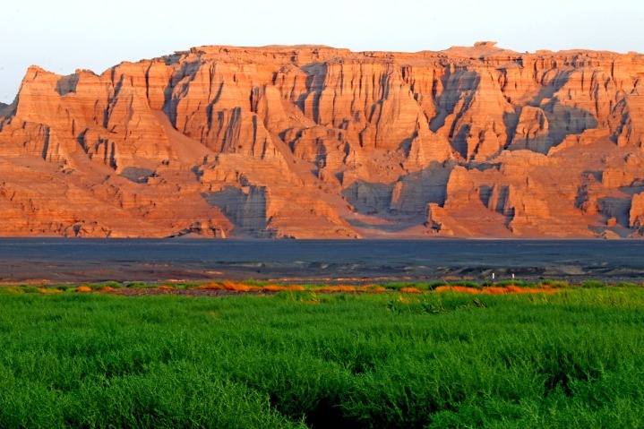 Yardang landforms shine with green in Hami