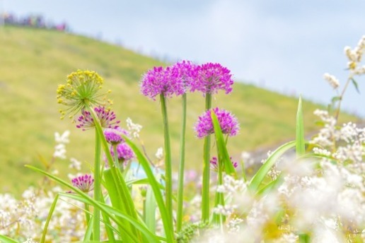 Virus control key ahead of likely holiday tourism boom