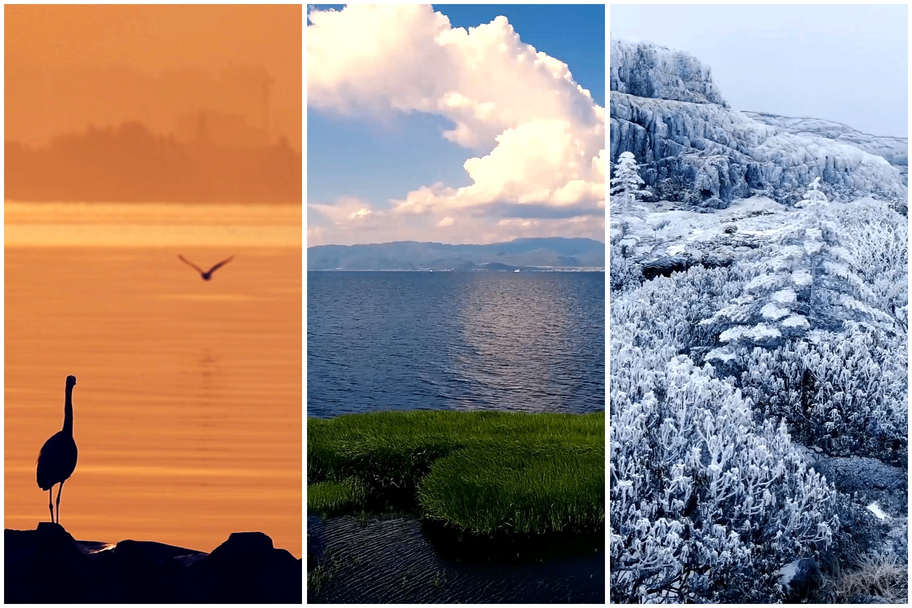 Yunnan 'like a fairyland on Earth' in viral video