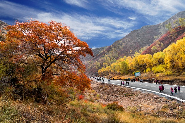 Ma'an Mountain - a wonderful place for autumn outings
