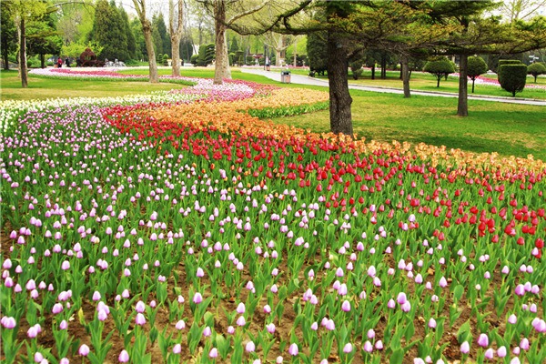 Beijing's subcenter to step up culture,tourism development