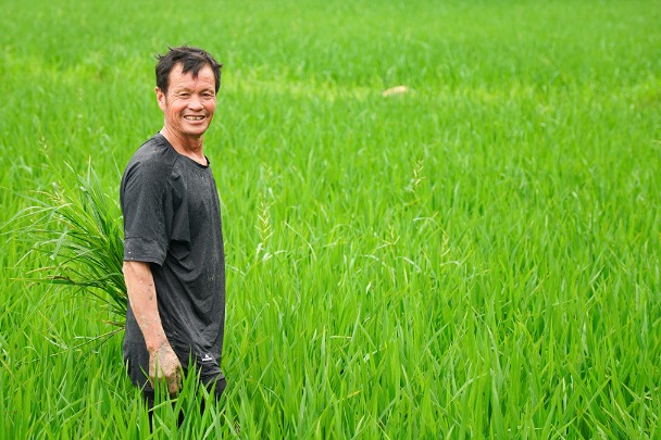 Understanding China (from an international student's perspective)