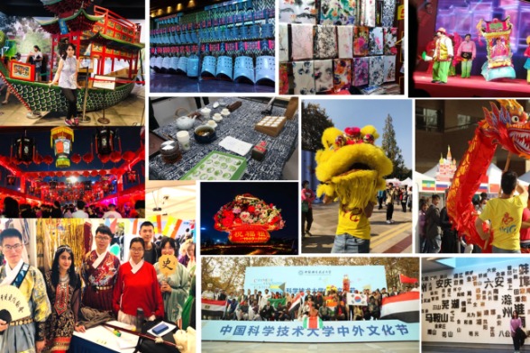 My journey in the wonderland