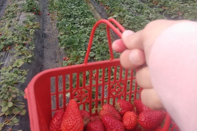 How I am living the Chinese dream